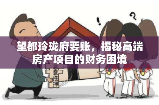 望都玲珑府要账，揭秘高端房产项目的财务困境