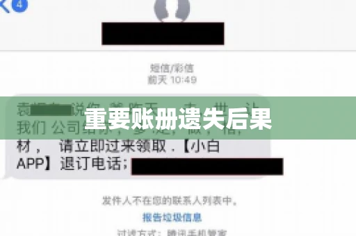 重要账册遗失后果