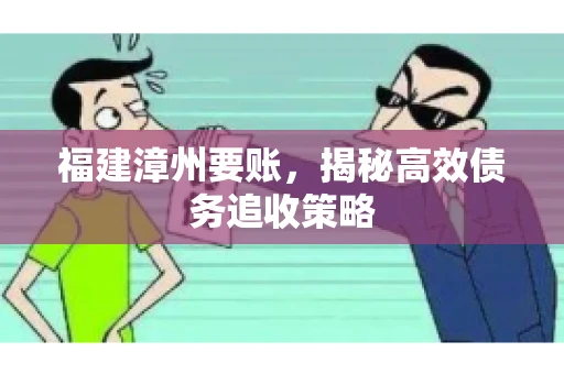 福建漳州要账，揭秘高效债务追收策略