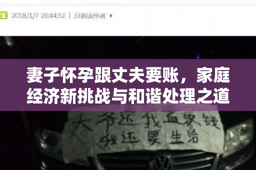 妻子怀孕跟丈夫要账，家庭经济新挑战与和谐处理之道