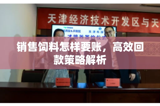 销售饲料怎样要账，高效回款策略解析