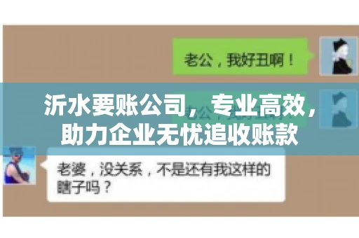 沂水要账公司，专业高效，助力企业无忧追收账款