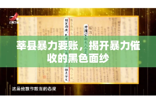 莘县暴力要账，揭开暴力催收的黑色面纱
