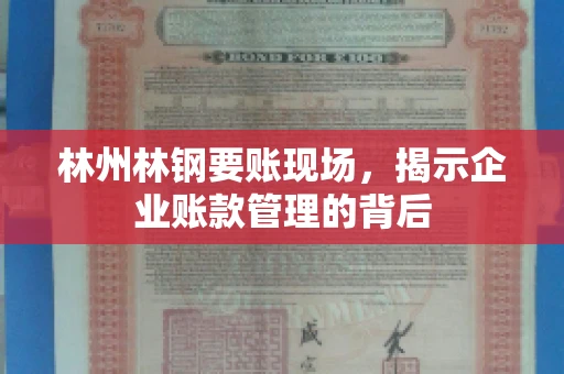 林州林钢要账现场，揭示企业账款管理的背后