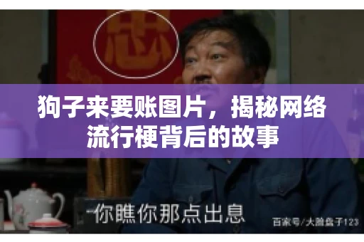 狗子来要账图片，揭秘网络流行梗背后的故事