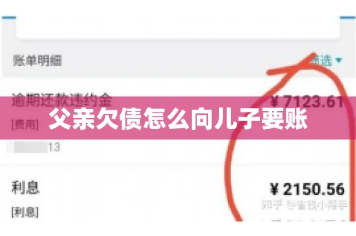 父亲欠债怎么向儿子要账