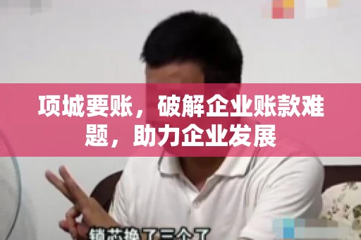 项城要账，破解企业账款难题，助力企业发展