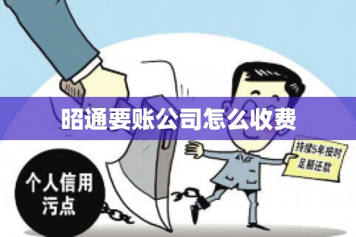 昭通要账公司怎么收费