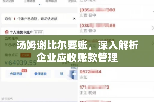 汤姆谢比尔要账，深入解析企业应收账款管理