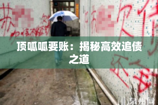 顶呱呱要账：揭秘高效追债之道