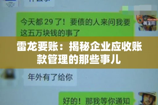 雷龙要账：揭秘企业应收账款管理的那些事儿