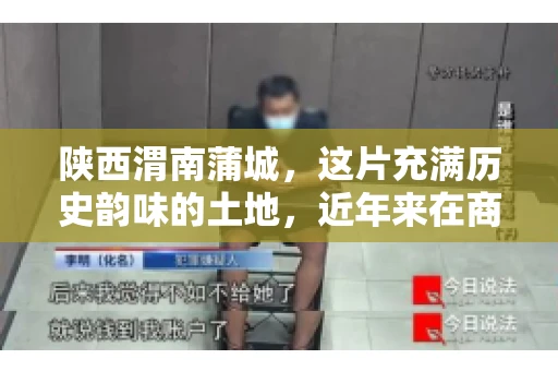 陕西渭南蒲城，这片充满历史韵味的土地，近年来在商业活动中也展现出了其独特的活力。其中，关于“陕西渭南蒲城要账”的话题，成为了不少企业关注的焦点。今天，我们就来聊聊这个话题，看看在蒲城，要账的那些事儿。
