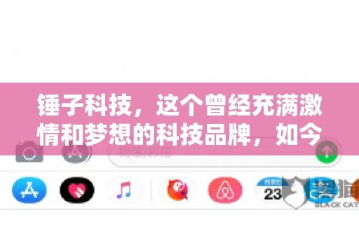 锤子科技，这个曾经充满激情和梦想的科技品牌，如今却陷入了要账的困境。今天，我们就来聊聊锤子科技要账的那些事儿。