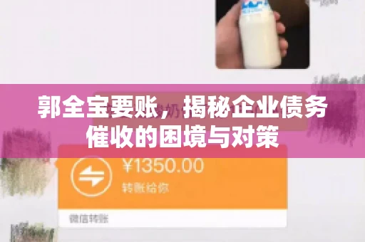 郭全宝要账，揭秘企业债务催收的困境与对策