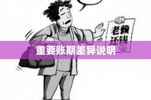 重要账期差异说明
