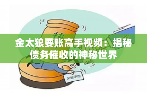 金太狼要账高手视频：揭秘债务催收的神秘世界