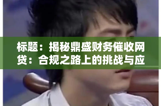 标题：揭秘鼎盛财务催收网贷：合规之路上的挑战与应对