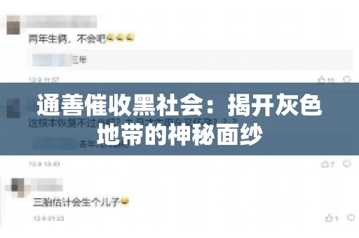 通善催收黑社会：揭开灰色地带的神秘面纱