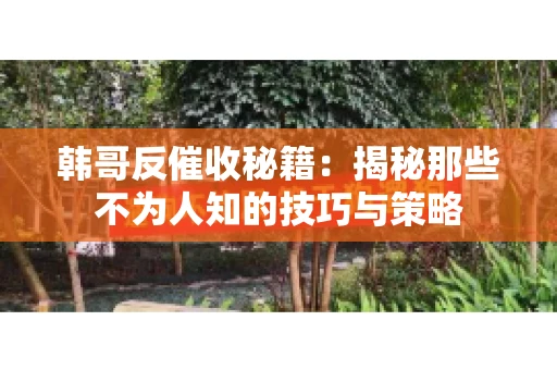 韩哥反催收秘籍：揭秘那些不为人知的技巧与策略