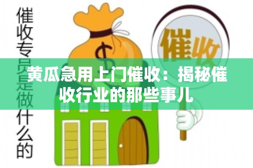 黄瓜急用上门催收：揭秘催收行业的那些事儿
