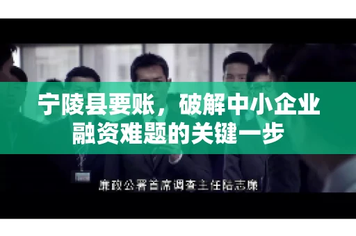 宁陵县要账，破解中小企业融资难题的关键一步