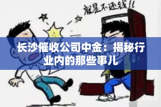 长沙催收公司中金：揭秘行业内的那些事儿
