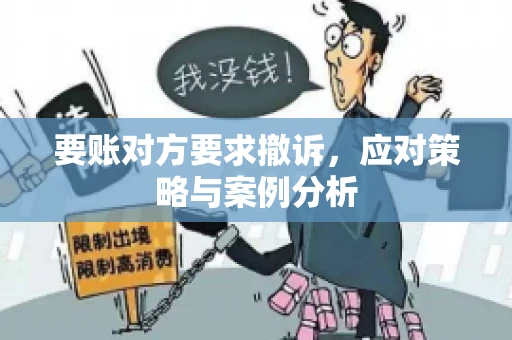 要账对方要求撤诉，应对策略与案例分析